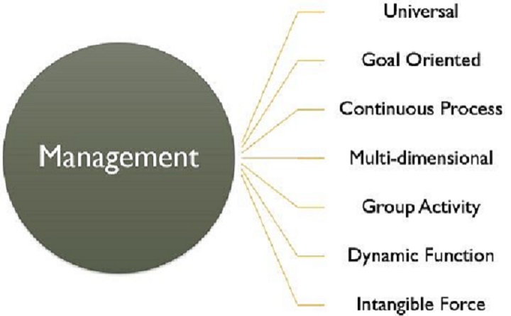 Key Characteristics of Decline