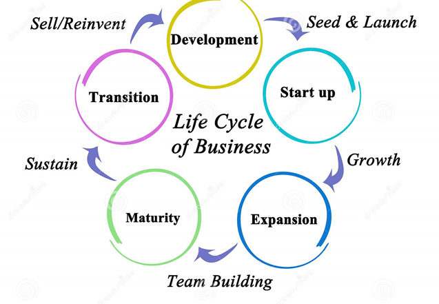 What are the Four Stages of Business Growth